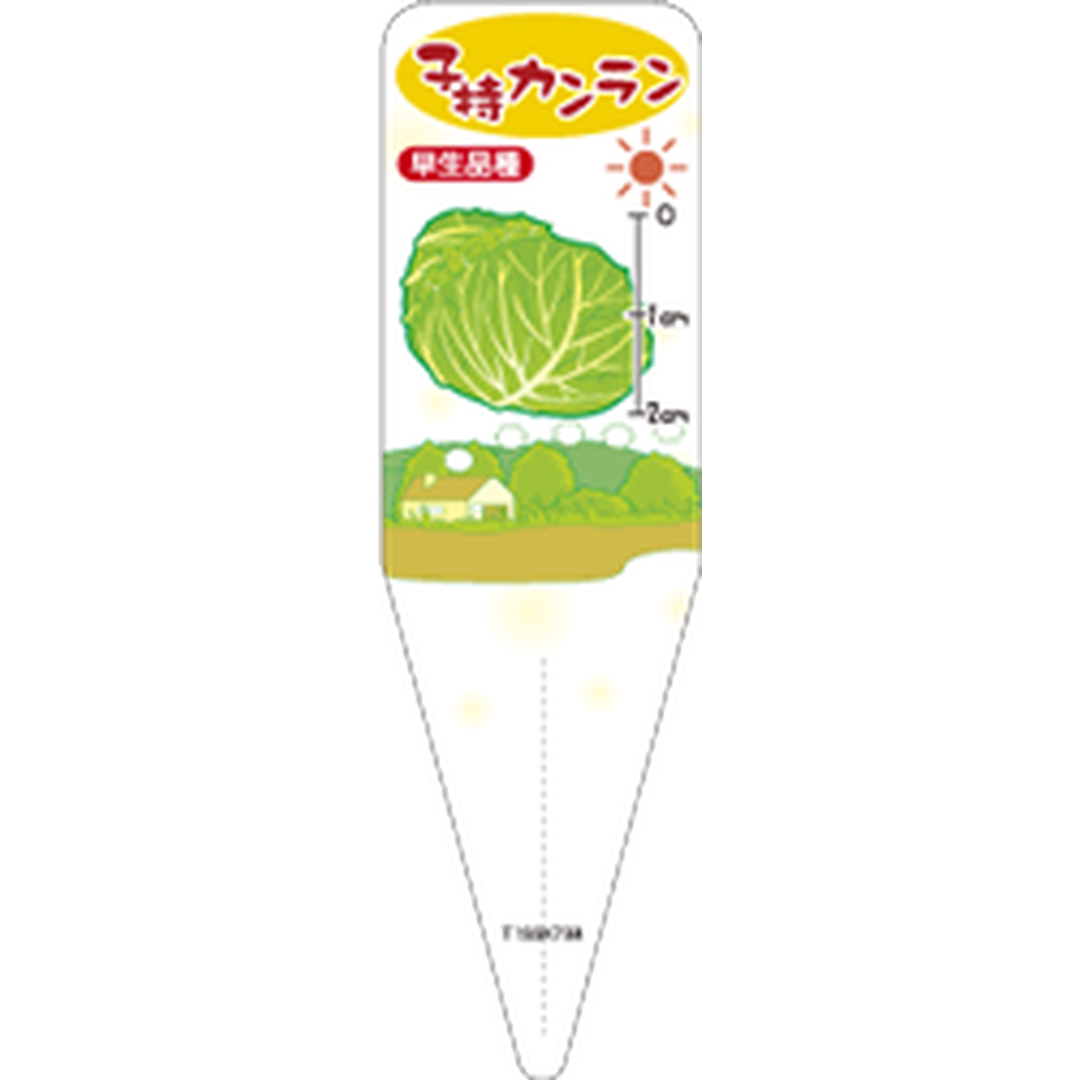 ARC コモチカンラン Ｓ 園芸用ラベル【115mm×34mm】100枚入 T1SSK738-01