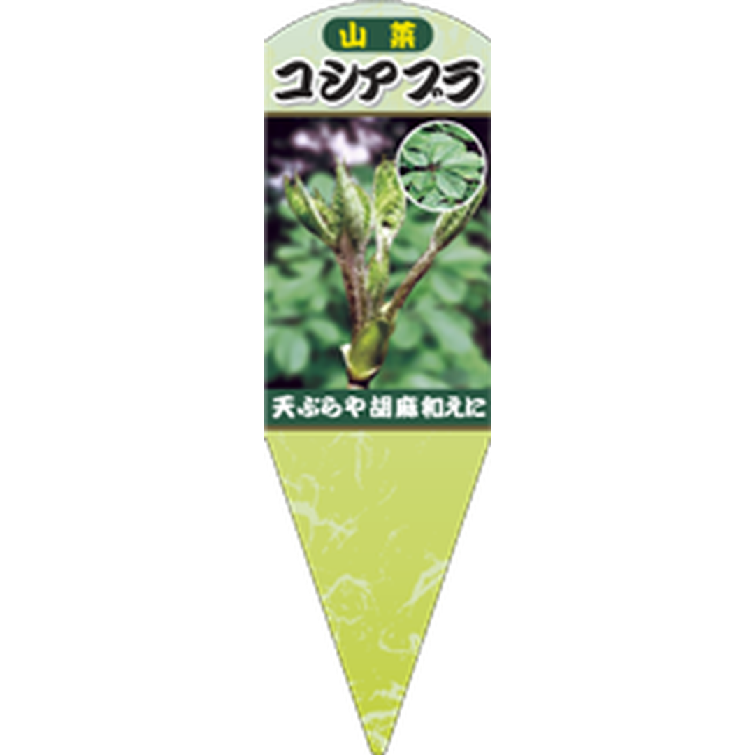 ARC コシアブラ X 園芸用ラベル【132.5mm×40mm】100枚入 T1SXF058-01