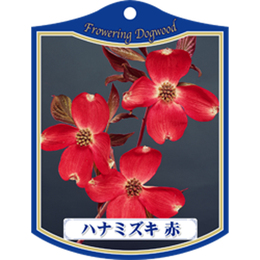 ARC ハナミズキ アカ K 園芸用ラベル【105mm×80mm】100枚入 T1TMK011-01