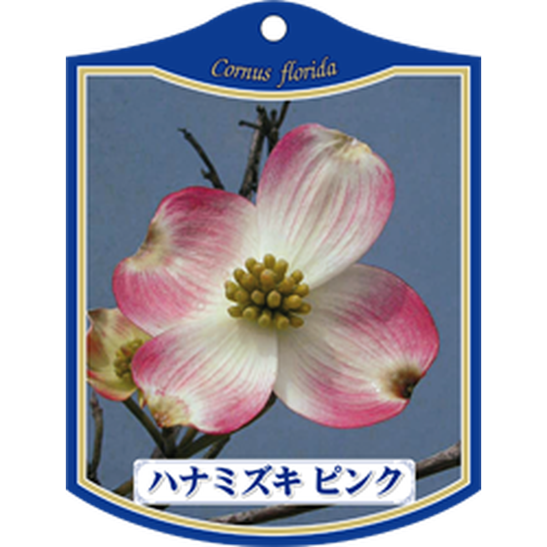 ARC ハナミズキ ピンク K 園芸用ラベル【105mm×80mm】100枚入 T1TMK012-01