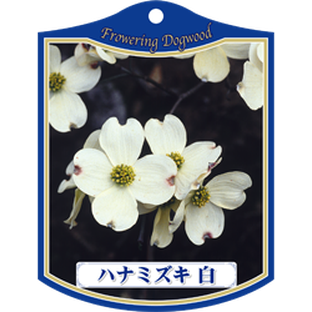 ARC ハナミズキ シロ K 園芸用ラベル【105mm×80mm】100枚入 T1TMK013-01