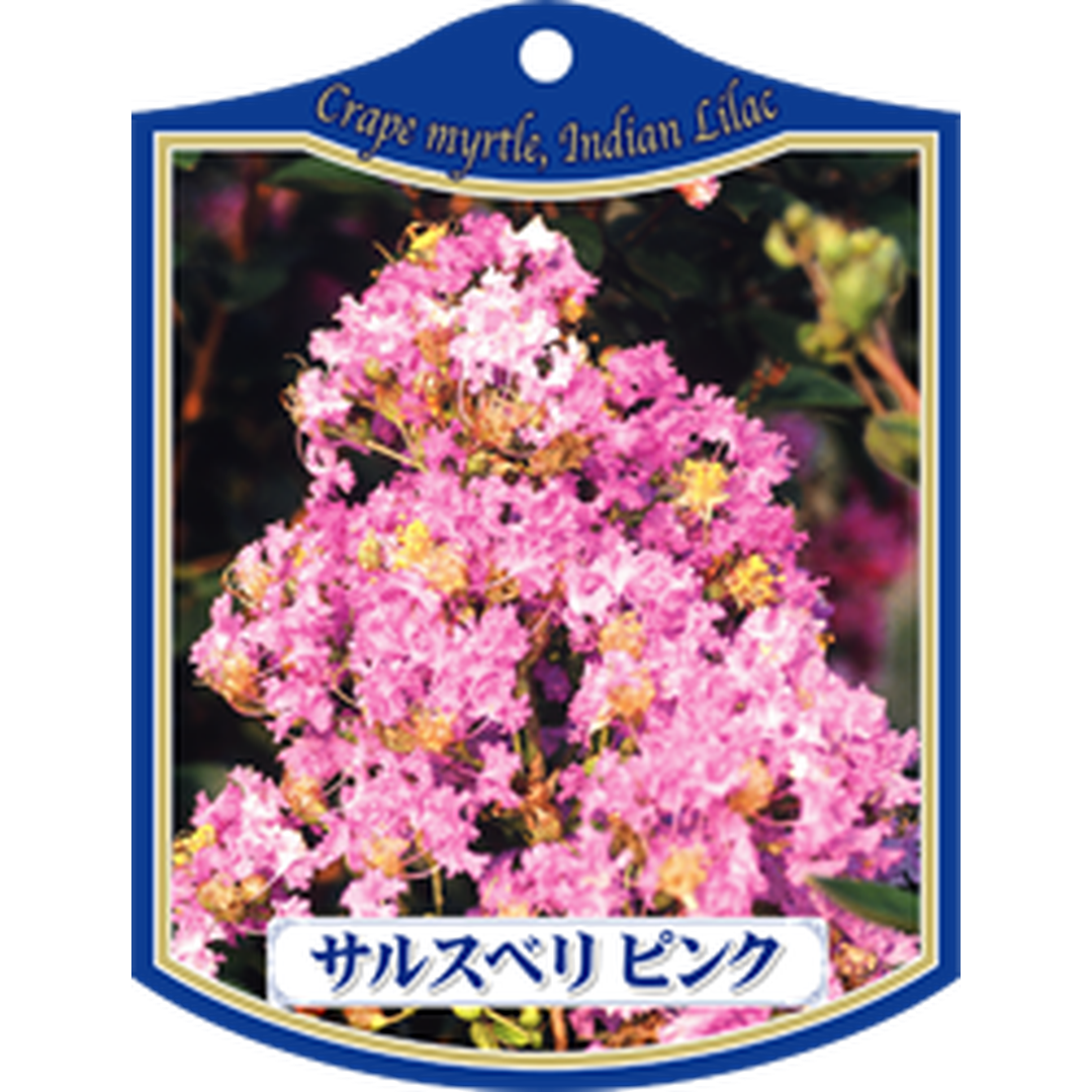 ARC サルスベリ ピンク Ｋ 園芸用ラベル【105mm×80mm】100枚入 T1TMK029-01