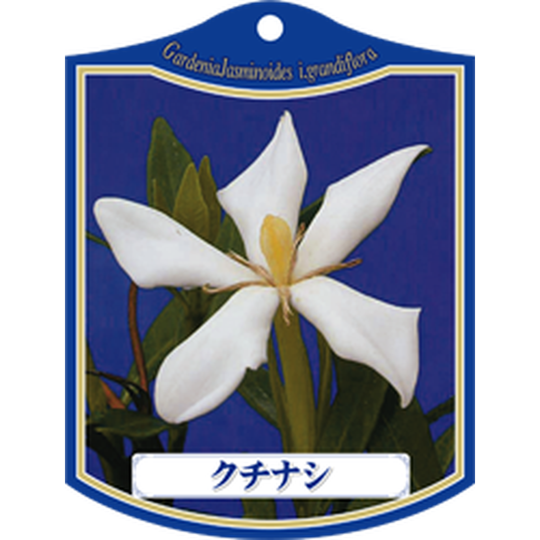 ARC クチナシ K 園芸用ラベル【105mm×80mm】100枚入 T1TMK065-01