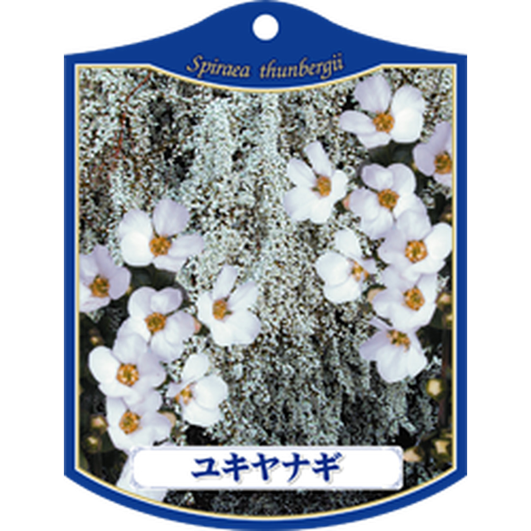 ARC ユキヤナギ K 園芸用ラベル【105mm×80mm】100枚入 T1TMK068-01