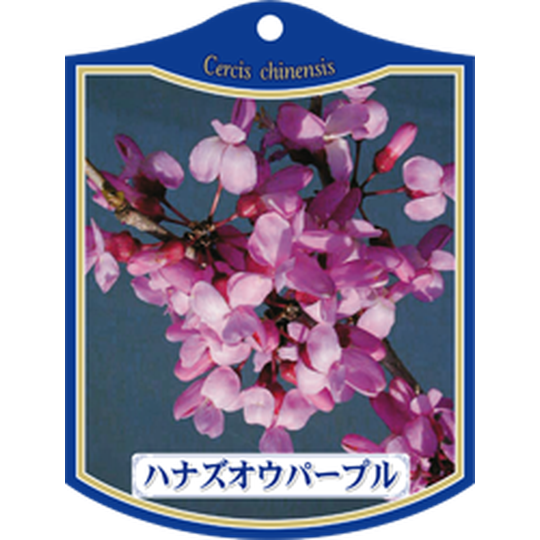 ARC ハナズオウ パープル Ｋ 園芸用ラベル【105mm×80mm】100枚入 T1TMK070-01