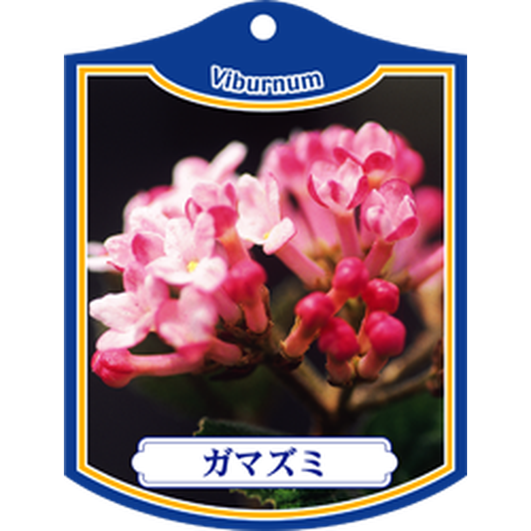 ARC Ｔジ ガマズミ ワインレッドＫ 園芸用ラベル【105mm×80mm】100枚入 T1TMK077-01