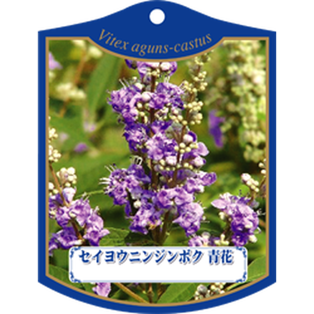 ARC セイヨウ ニンジンボク アオ K 園芸用ラベル【105mm×80mm】100枚入 T1TMK244-01