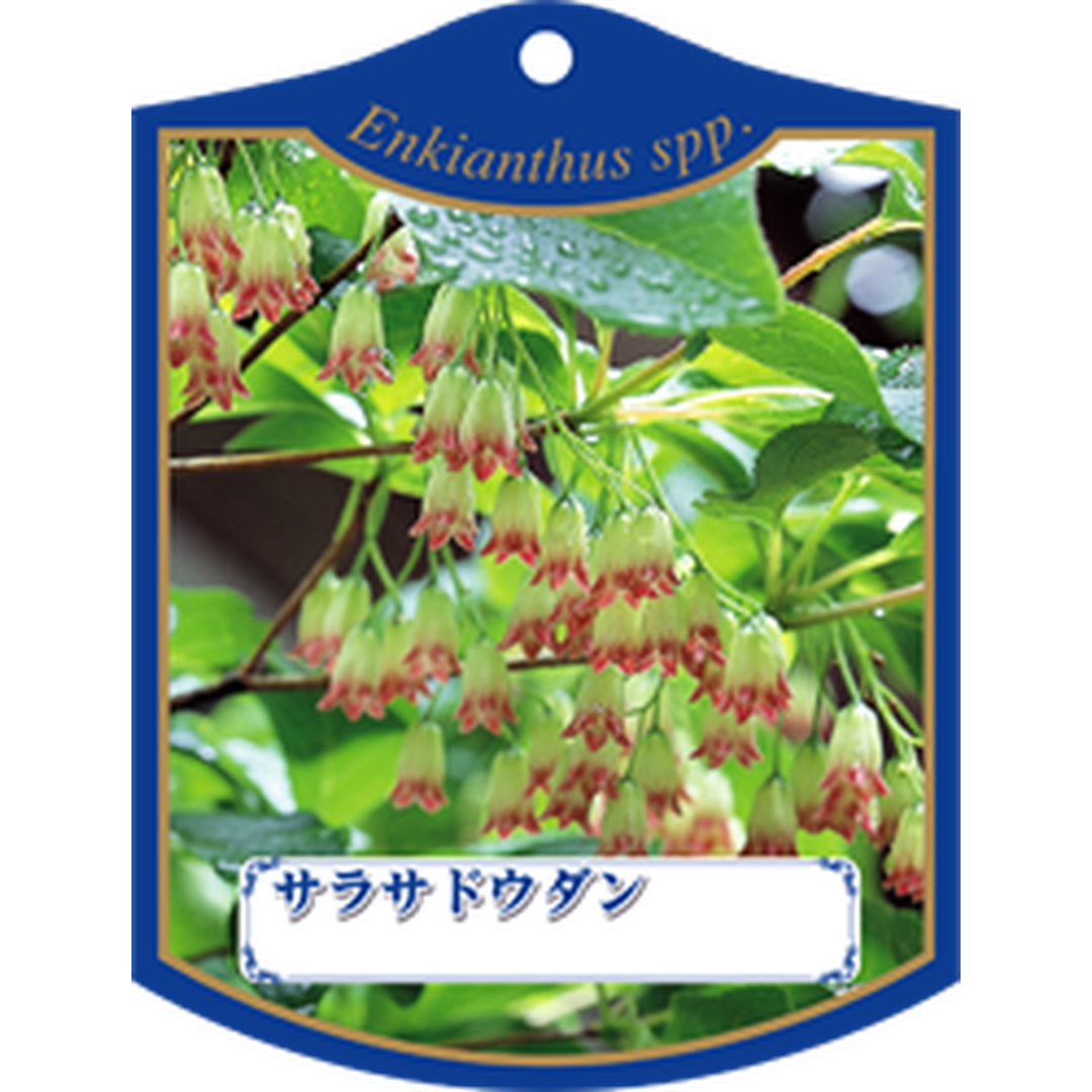 ARC サラサドウダン Ｋ 園芸用ラベル【105mm×80mm】100枚入 T1TMK251-01
