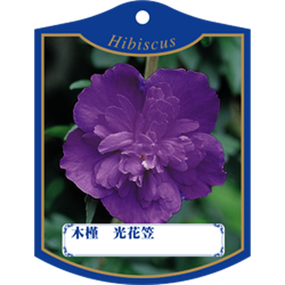 ARC ムクゲ ヒカリハナガサ Ｋ 園芸用ラベル【105mm×80mm】100枚入 T1TMK322-01