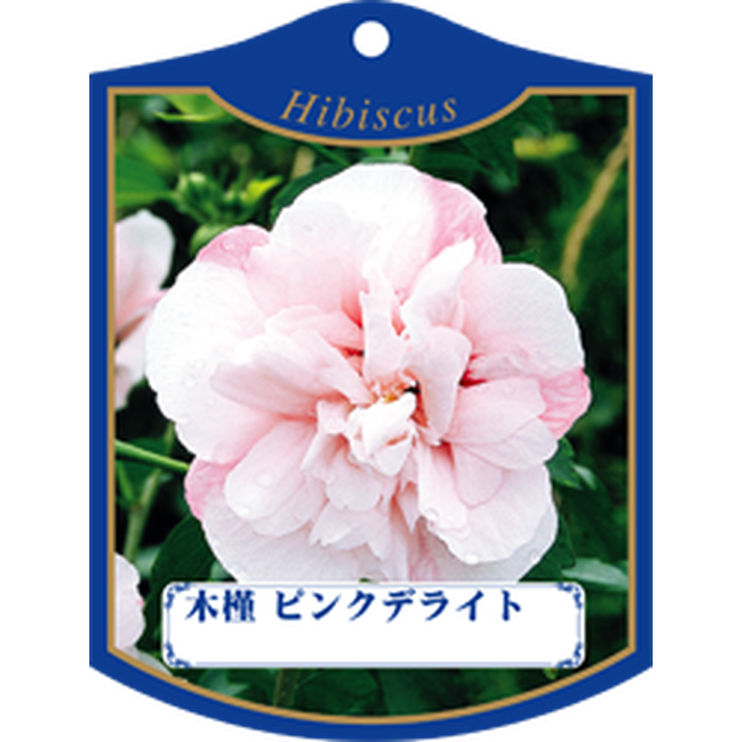 ARC ムクゲピンクデライト Ｋ 園芸用ラベル【105mm×80mm】100枚入 T1TMK335-01