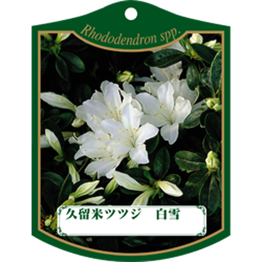 ARC クルメツツジ シラユキ 園芸用ラベル【105mm×80mm】100枚入 T1TMK417-01