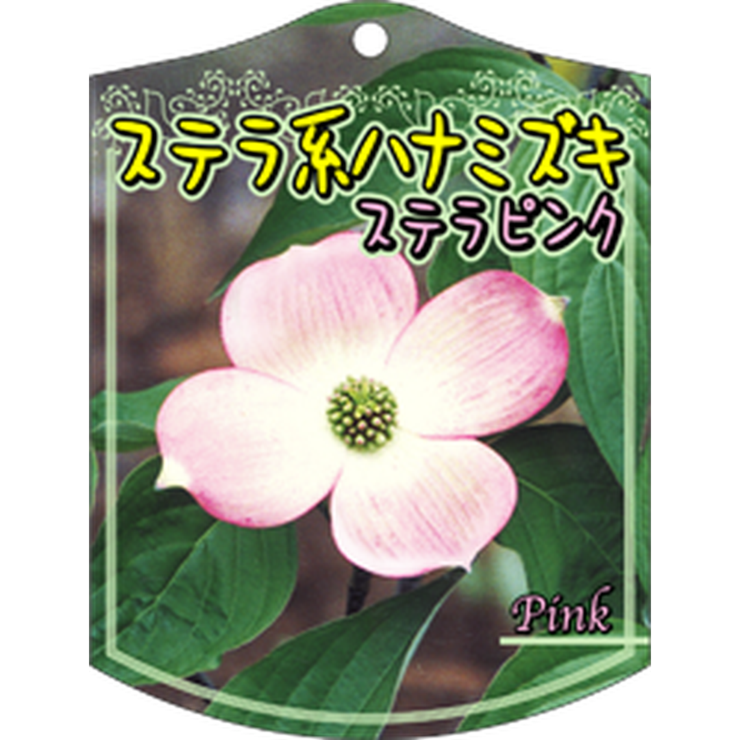 ARC ステラ ハナミズキピンク Ｋ 園芸用ラベル【105mm×80mm】100枚入 T1TMK426-01