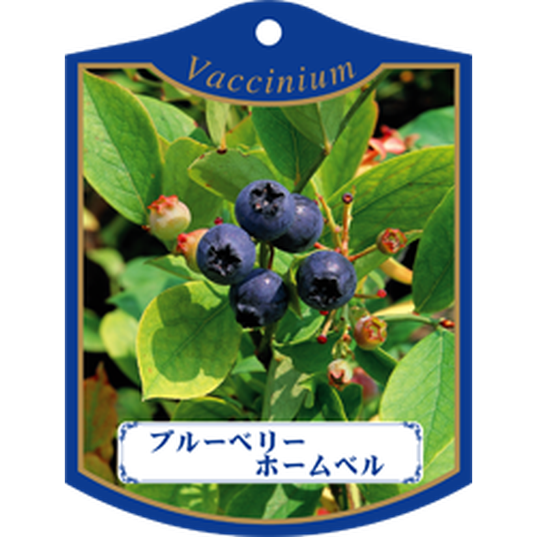 ARC ブルーベリー ホームベル K 園芸用ラベル【105mm×80mm】100枚入 T1TMK429-01
