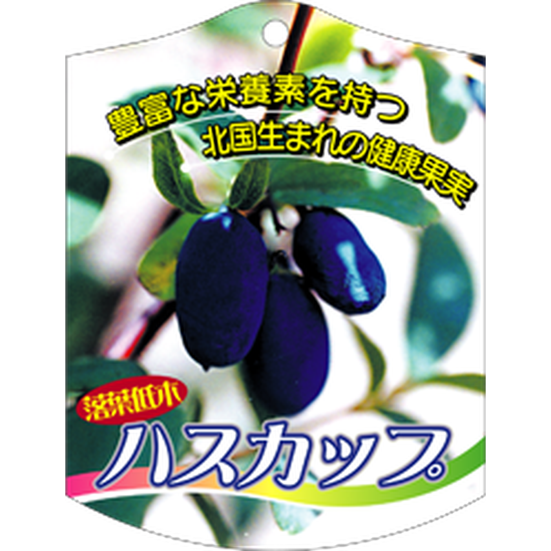 ARC ハスカップ K 園芸用ラベル【105mm×80mm】100枚入 T1TMK597-01