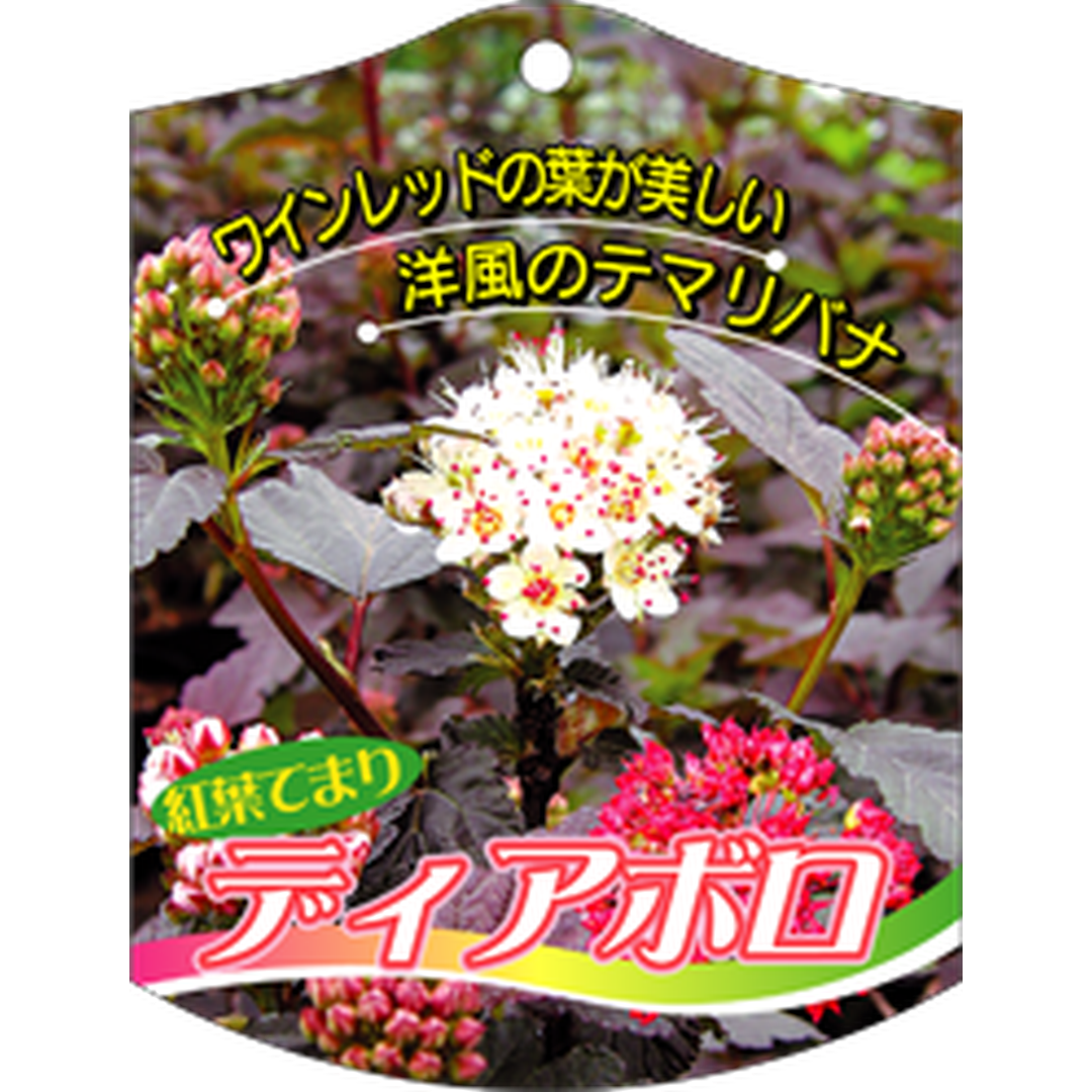 ARC ディアボロ K 園芸用ラベル【105mm×80mm】100枚入 T1TMK628-01