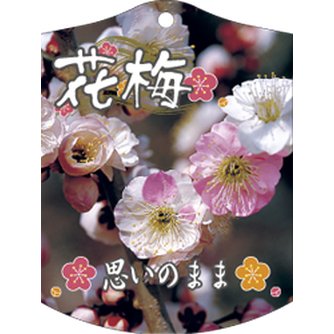 ARC ウメ オモイノママ K 園芸用ラベル【105mm×80mm】100枚入 T1TMK680-01