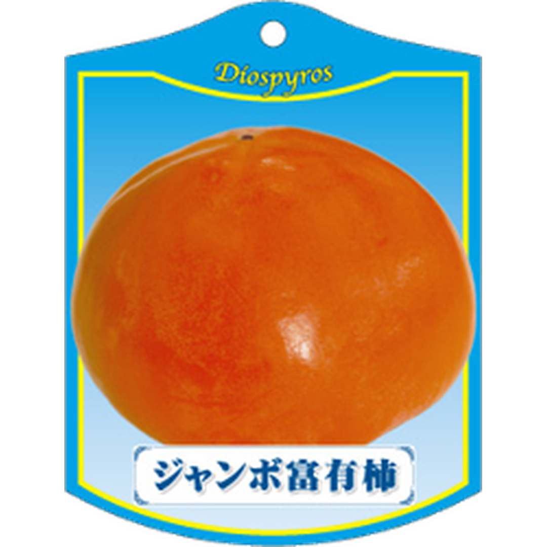 ARC カキ ジャンボフユウ K 園芸用ラベル【105mm×80mm】100枚入 T1TMK686-01