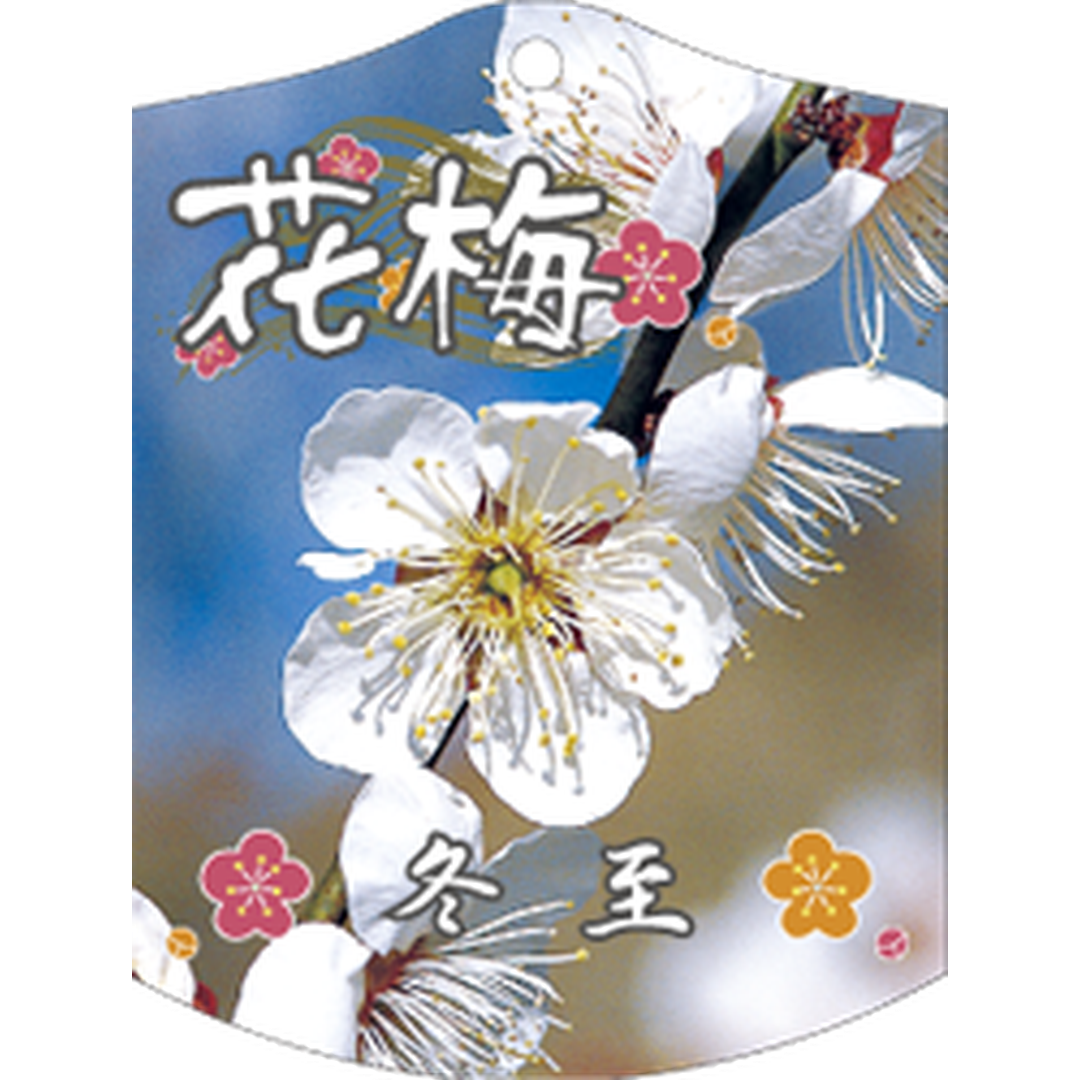 ARC ウメ トウジ K 園芸用ラベル【105mm×80mm】100枚入 T1TMK689-01
