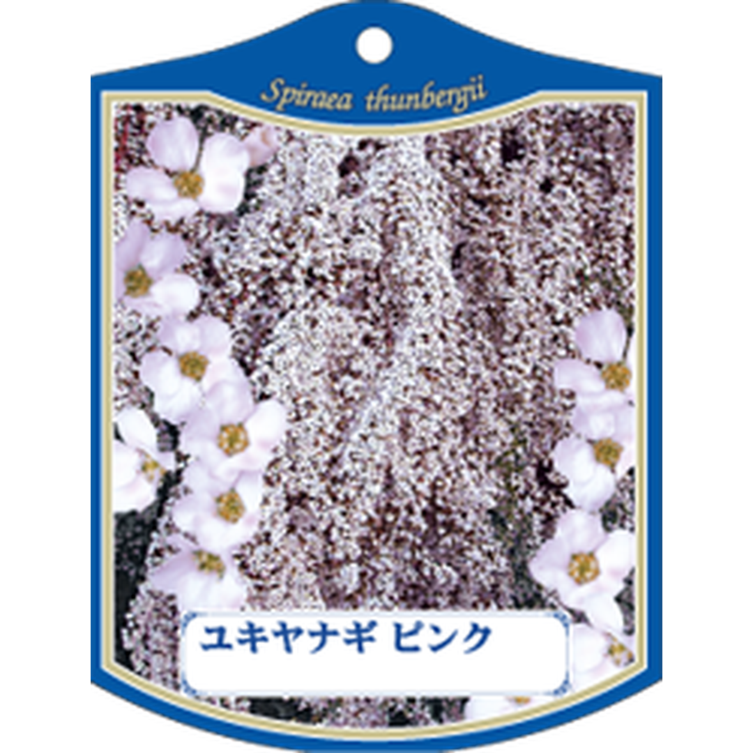 ARC ユキヤナギピンク K 園芸用ラベル【105mm×80mm】100枚入 T1TMK714-01