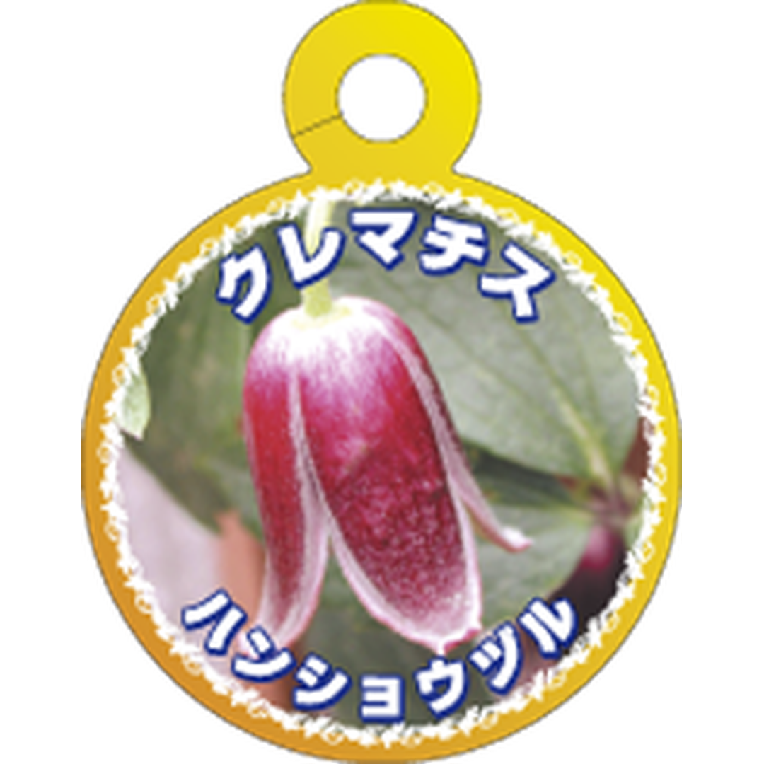 ARC クレマチス ハンショウヅル O 園芸用ラベル【70mm×55mm】100枚入 T1TMK750-01