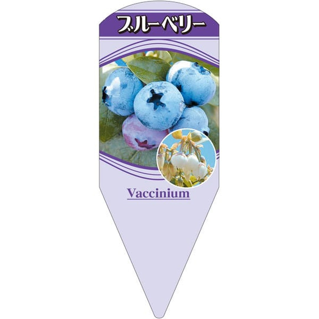 ARC ブルーベリー L 園芸用ラベル【132.5mm×50mm】100枚入 T2SMF001-01