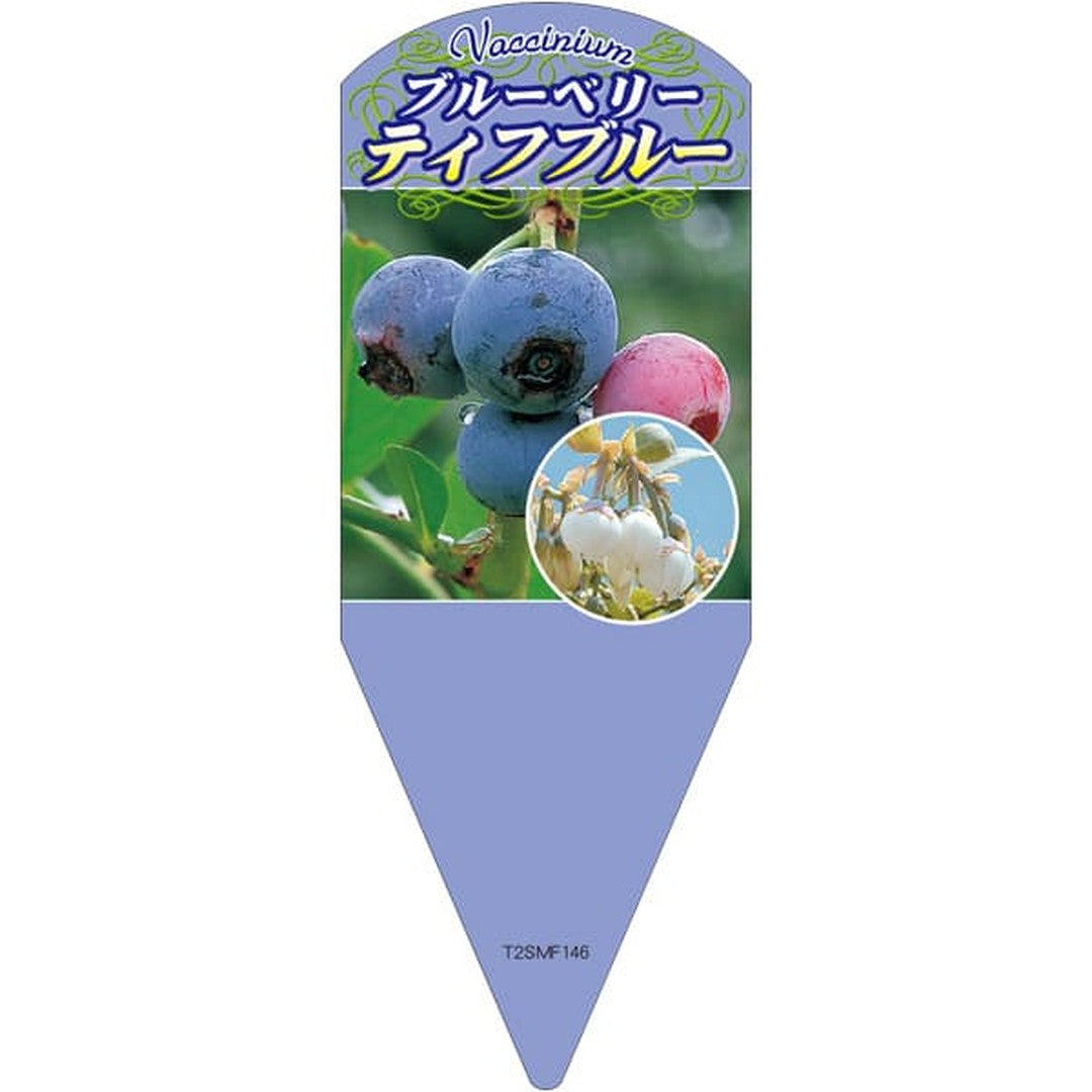 ARC ブルーベリーティフブルー サシ L 園芸用ラベル【132.5mm×50mm】100枚入 T2SMF146-01