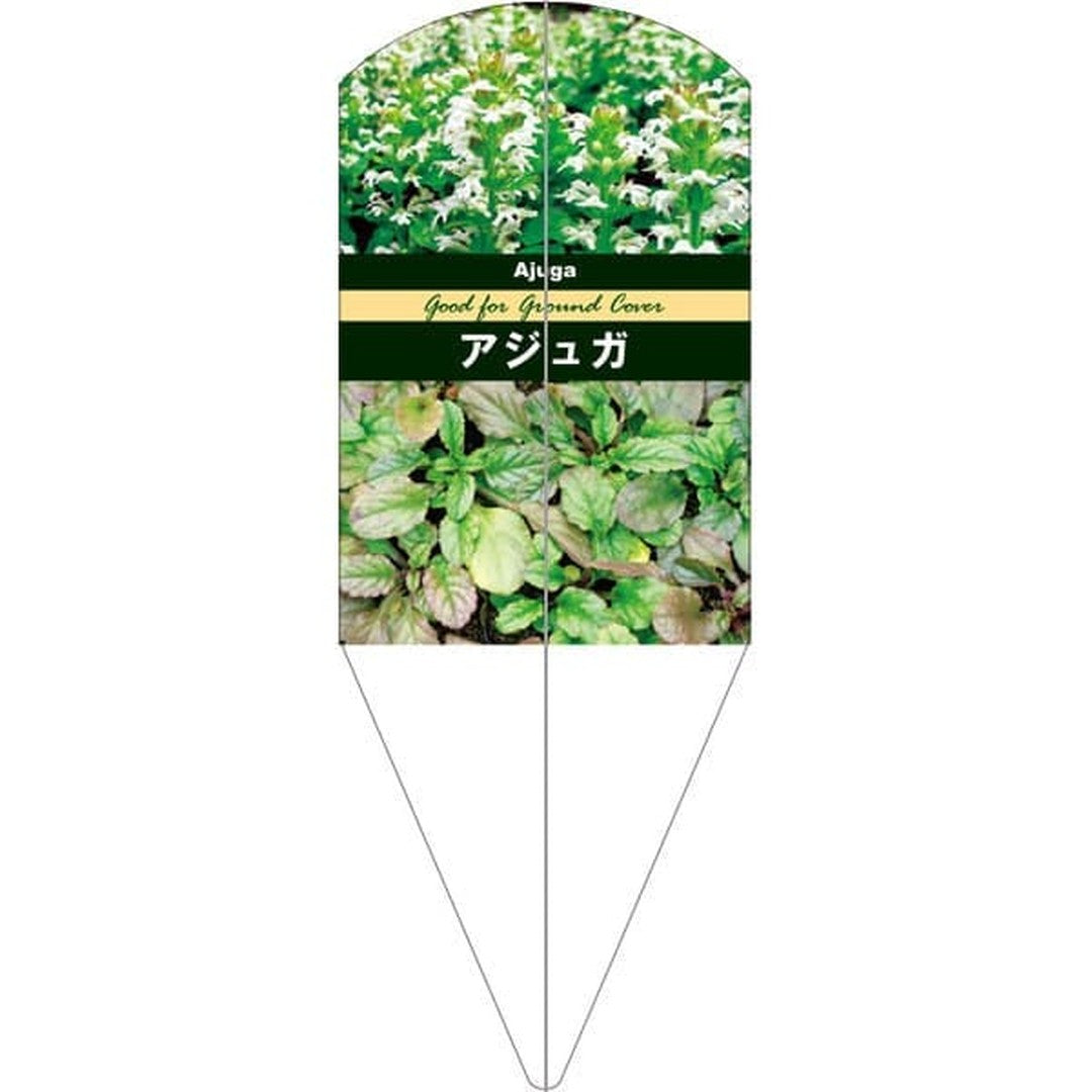 ARC アジュガ ホワイト L 園芸用ラベル【132.5mm×50mm】100枚入 T2SMF173-01