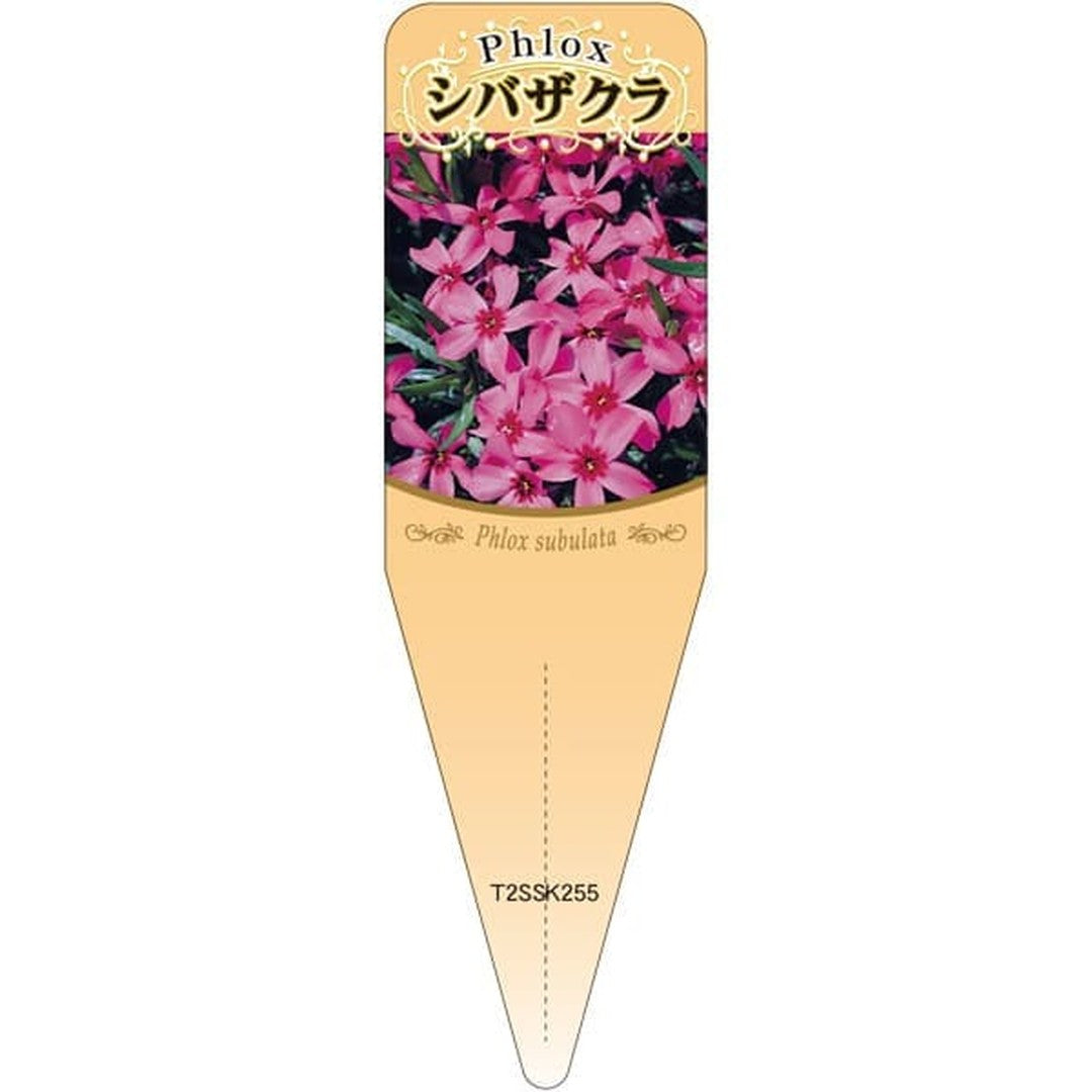 ARC シバザクラ アカ S 園芸用ラベル【115mm×34mm】100枚入 T2SSK255-01