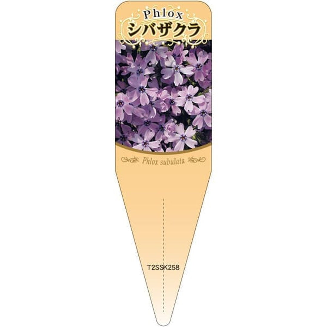 ARC シバザクラ ムラサキ S 園芸用ラベル【115mm×34mm】100枚入 T2SSK258-01
