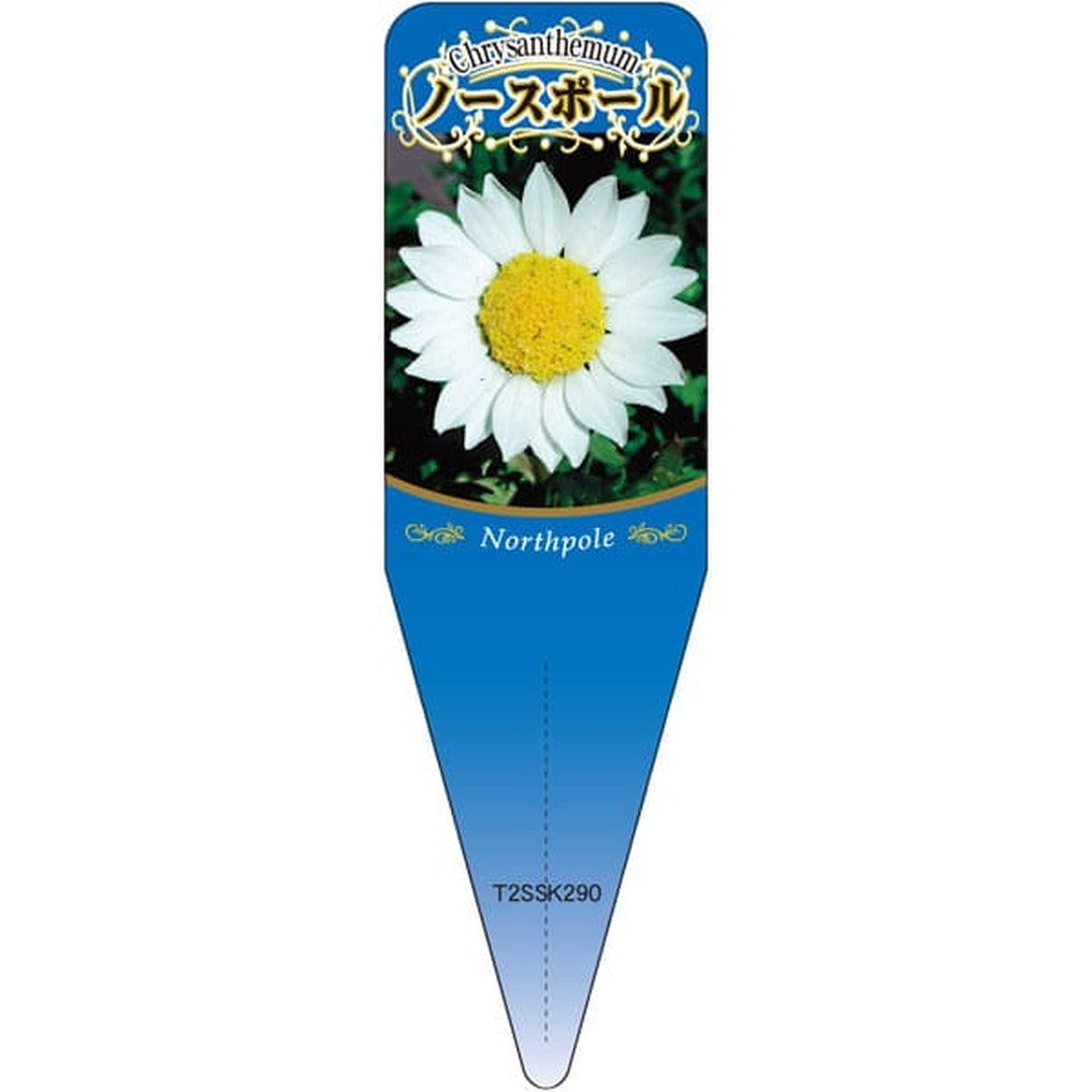 ARC クリサンセマム ノースポール S 園芸用ラベル【115mm×34mm】100枚入 T2SSK290-01
