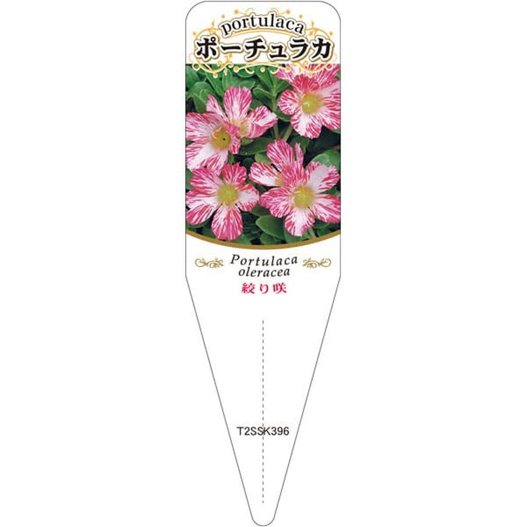 ARC シボリザキ ポーチュラカ3 S 園芸用ラベル【115mm×34mm】100枚入 T2SSK396-01
