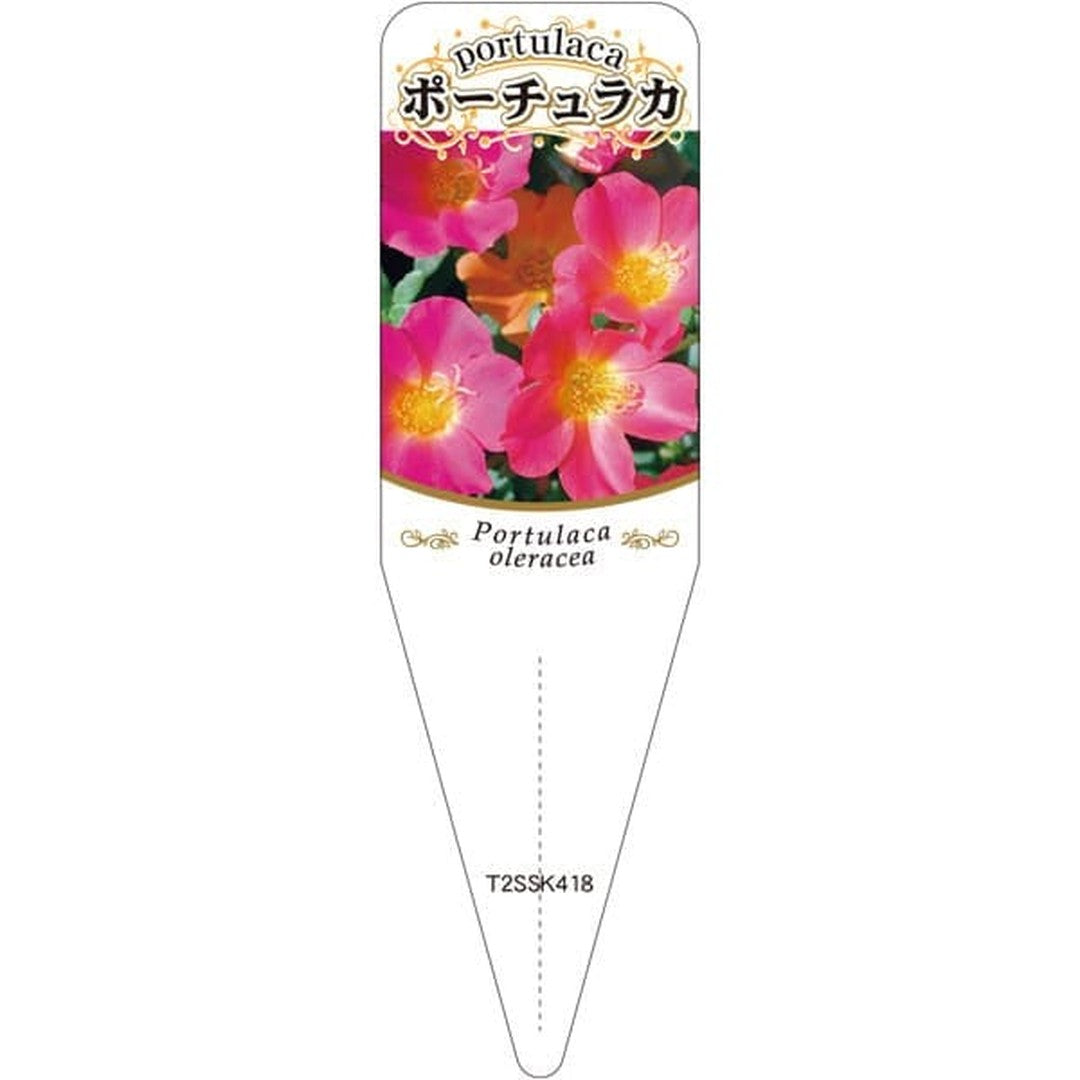 ARC ポーチュラカ チュウリン 1 S 園芸用ラベル【115mm×34mm】100枚入 T2SSK418-01
