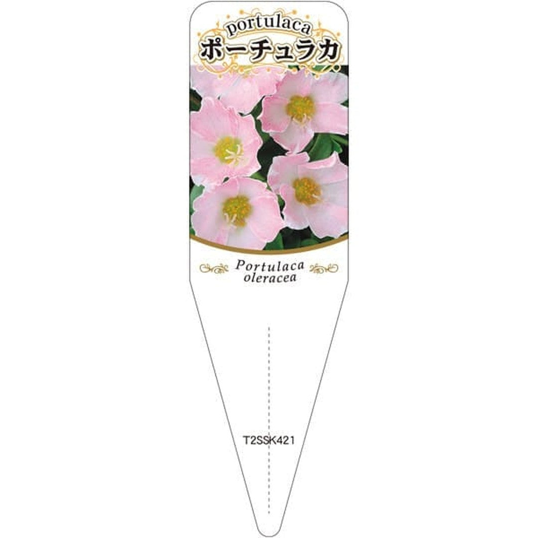 ARC ポーチュラカ チュウリン 4 S 園芸用ラベル【115mm×34mm】100枚入 T2SSK421-01
