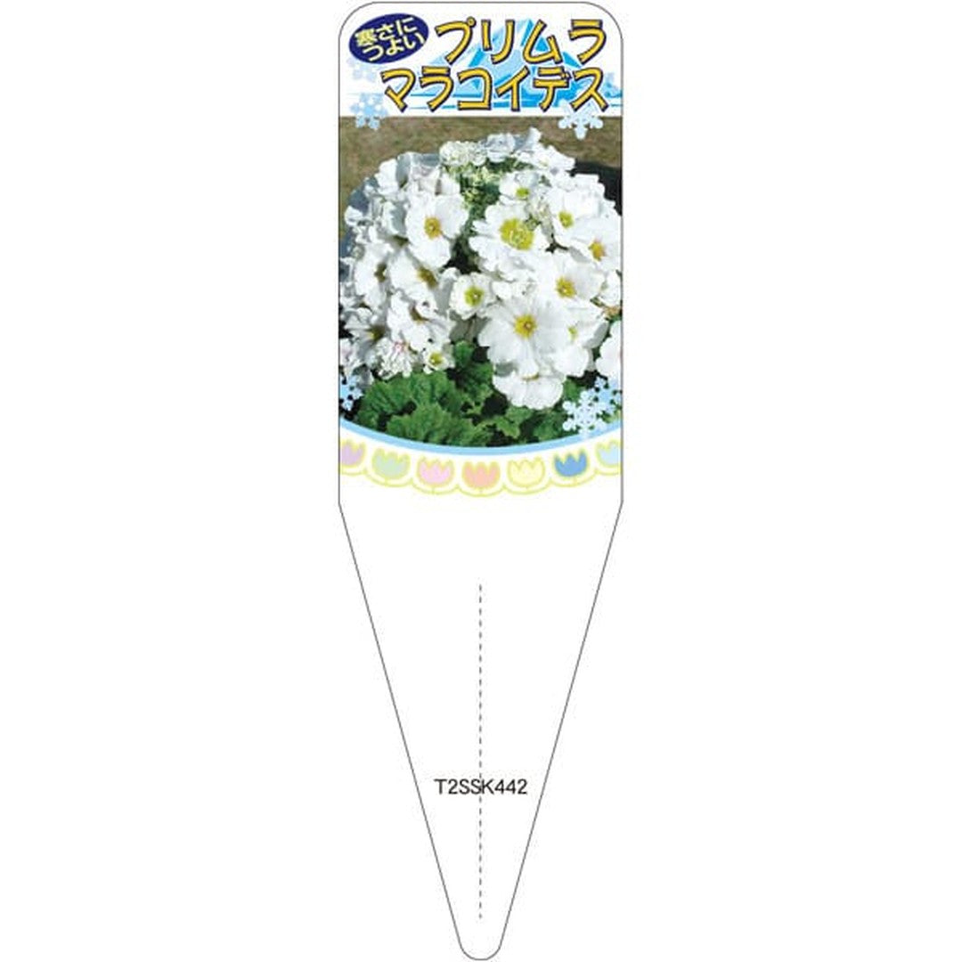 ARC プリムラマラコイデス ホワイト 2S 園芸用ラベル【115mm×34mm】100枚入 T2SSK442-01