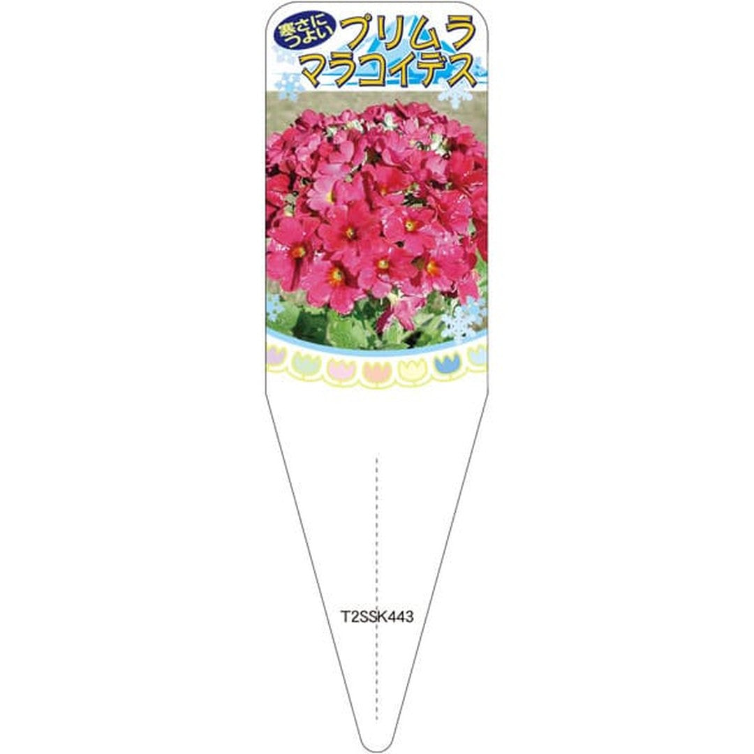 ARC プリムラマラコイデス レッド 2S 園芸用ラベル【115mm×34mm】100枚入 T2SSK443-01