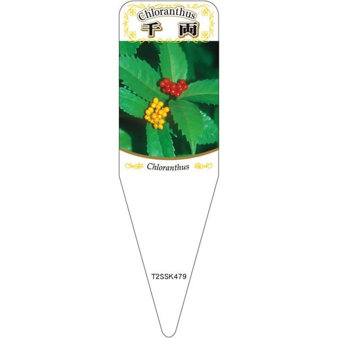 ARC センリョウ （ミックス） S 園芸用ラベル【115mm×34mm】100枚入 T2SSK479-01