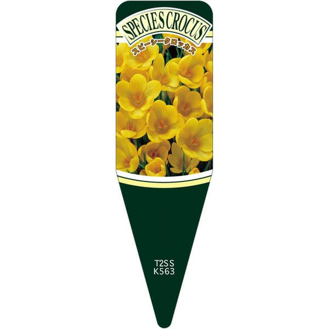 ARC スピーシークロッカス Ｅ・PボーS 園芸用ラベル【115mm×34mm】100枚入 T2SSK563-01