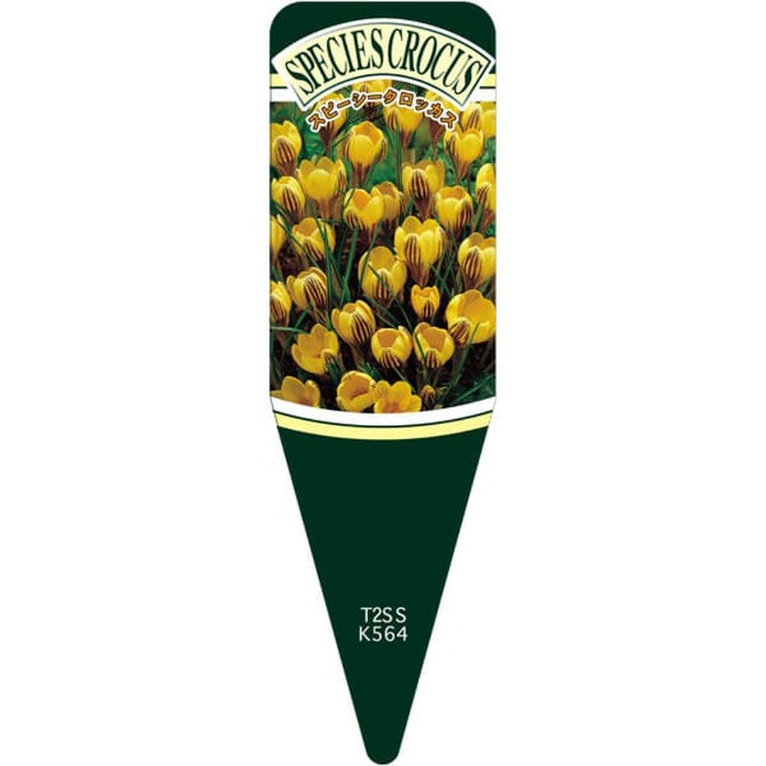 ARC スピーシークロッカス ジプシーS 園芸用ラベル【115mm×34mm】100枚入 T2SSK564-01