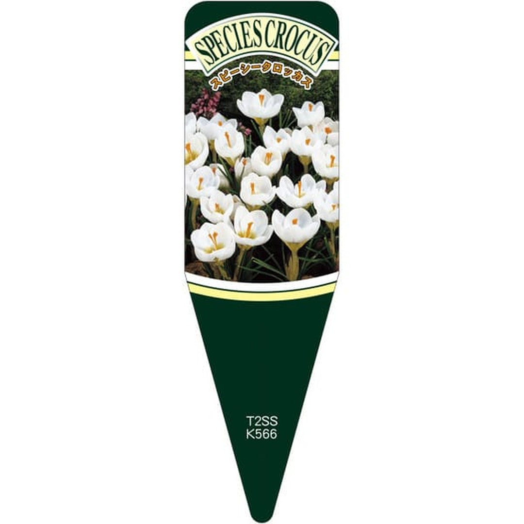 ARC スピーシークロッカス スノーバンS 園芸用ラベル【115mm×34mm】100枚入 T2SSK566-01