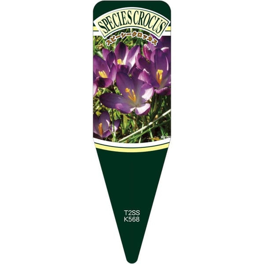 ARC スピーシークロッカス ルビージS 園芸用ラベル【115mm×34mm】100枚入 T2SSK568-01