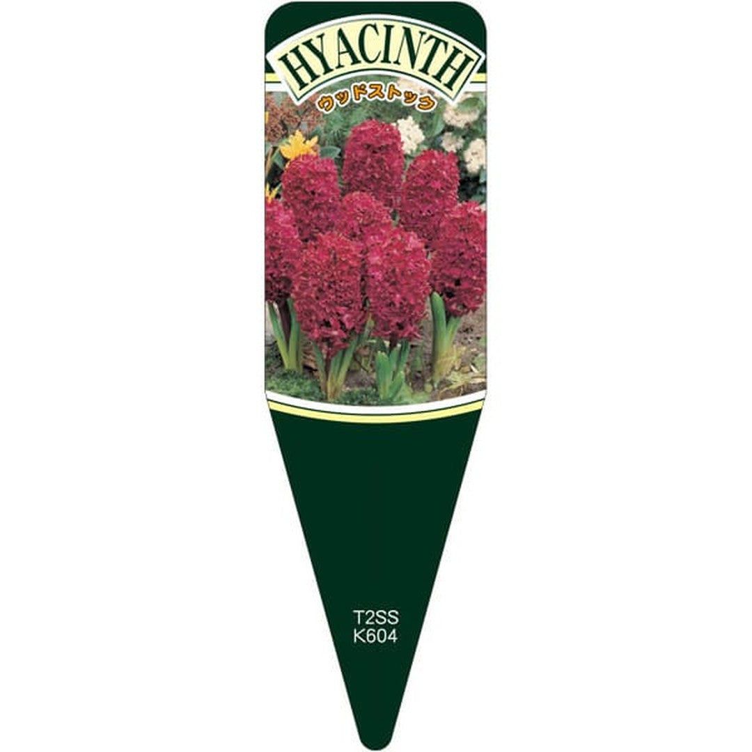 ARC ヒヤシンスウッドストック S 園芸用ラベル【115mm×34mm】100枚入 T2SSK604-01
