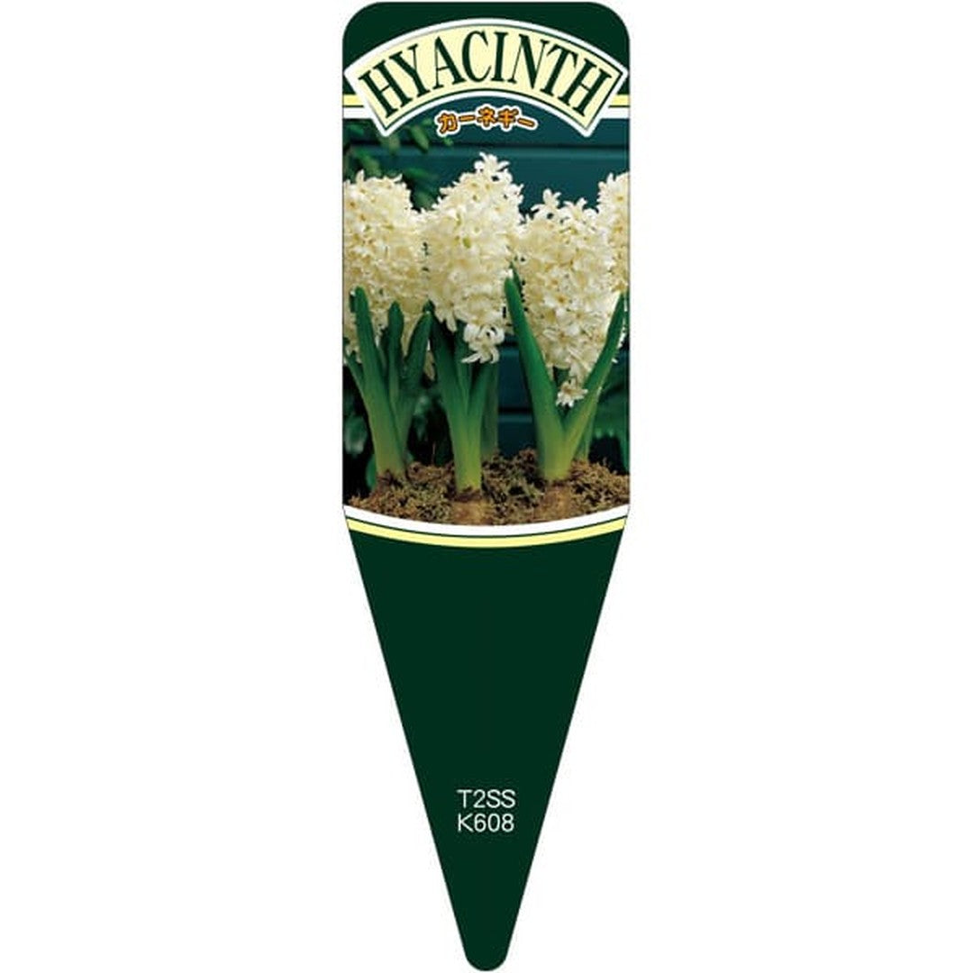 ARC ヒヤシンスカーネギー S 園芸用ラベル【115mm×34mm】100枚入 T2SSK608-01