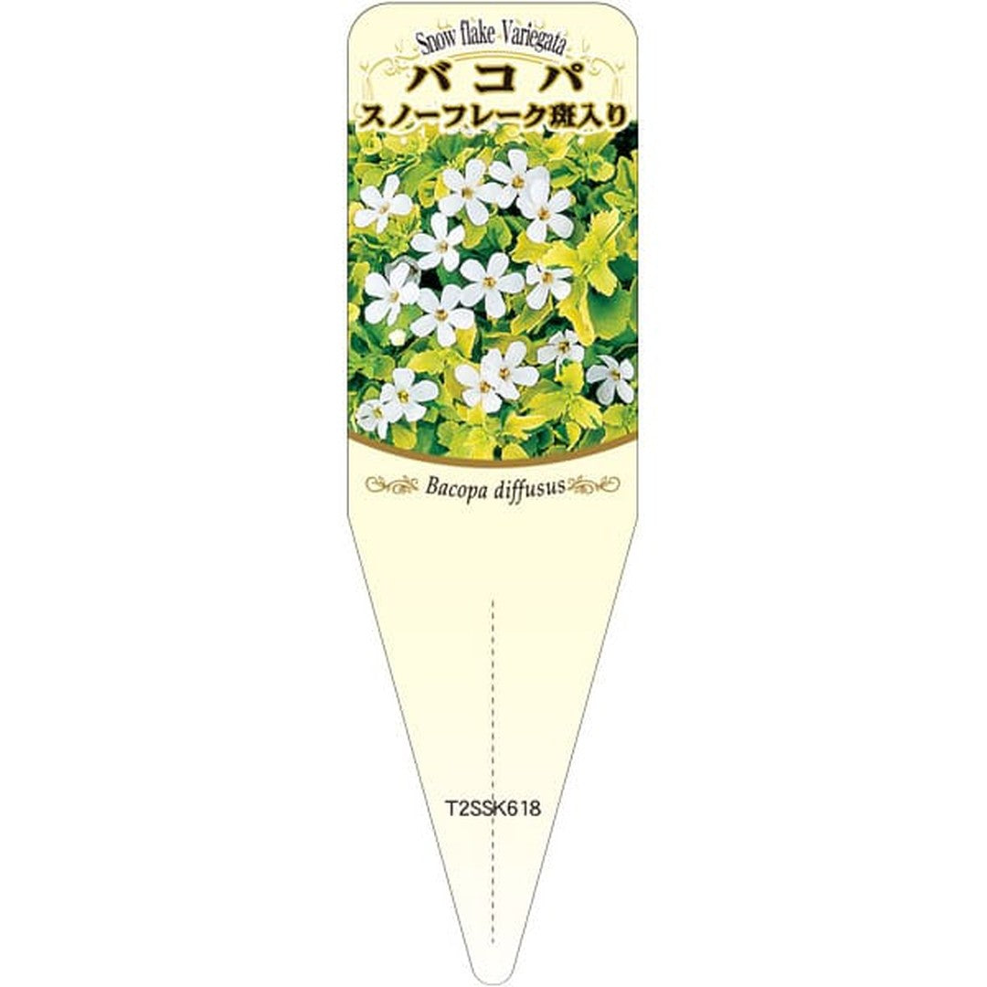 ARC バコパ スノーフレークフイリ S 園芸用ラベル【115mm×34mm】100枚入 T2SSK618-01