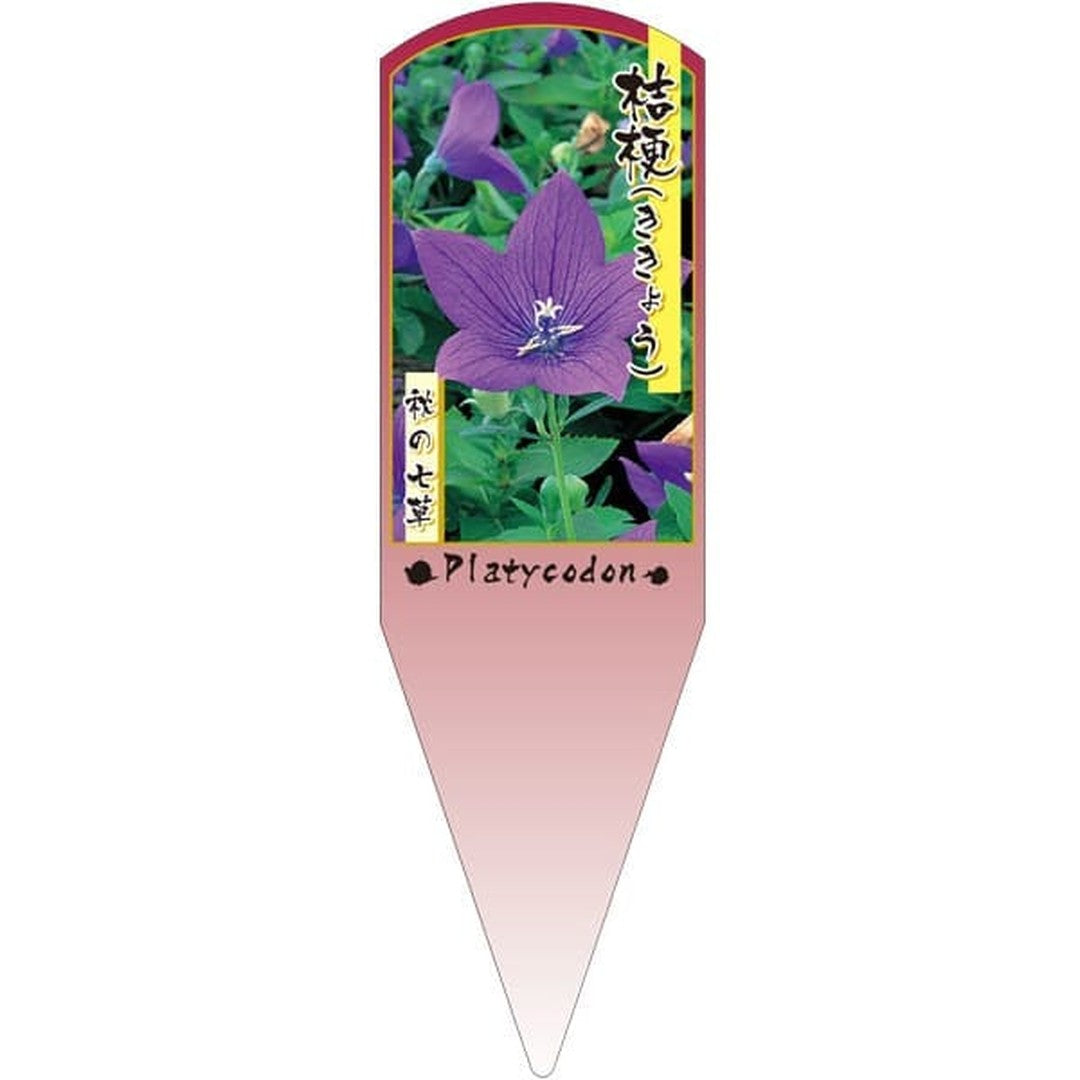 ARC キキョウ ブルーヒトエワイセイ X 園芸用ラベル【132.5mm×40mm】100枚入 T2SXF002-01