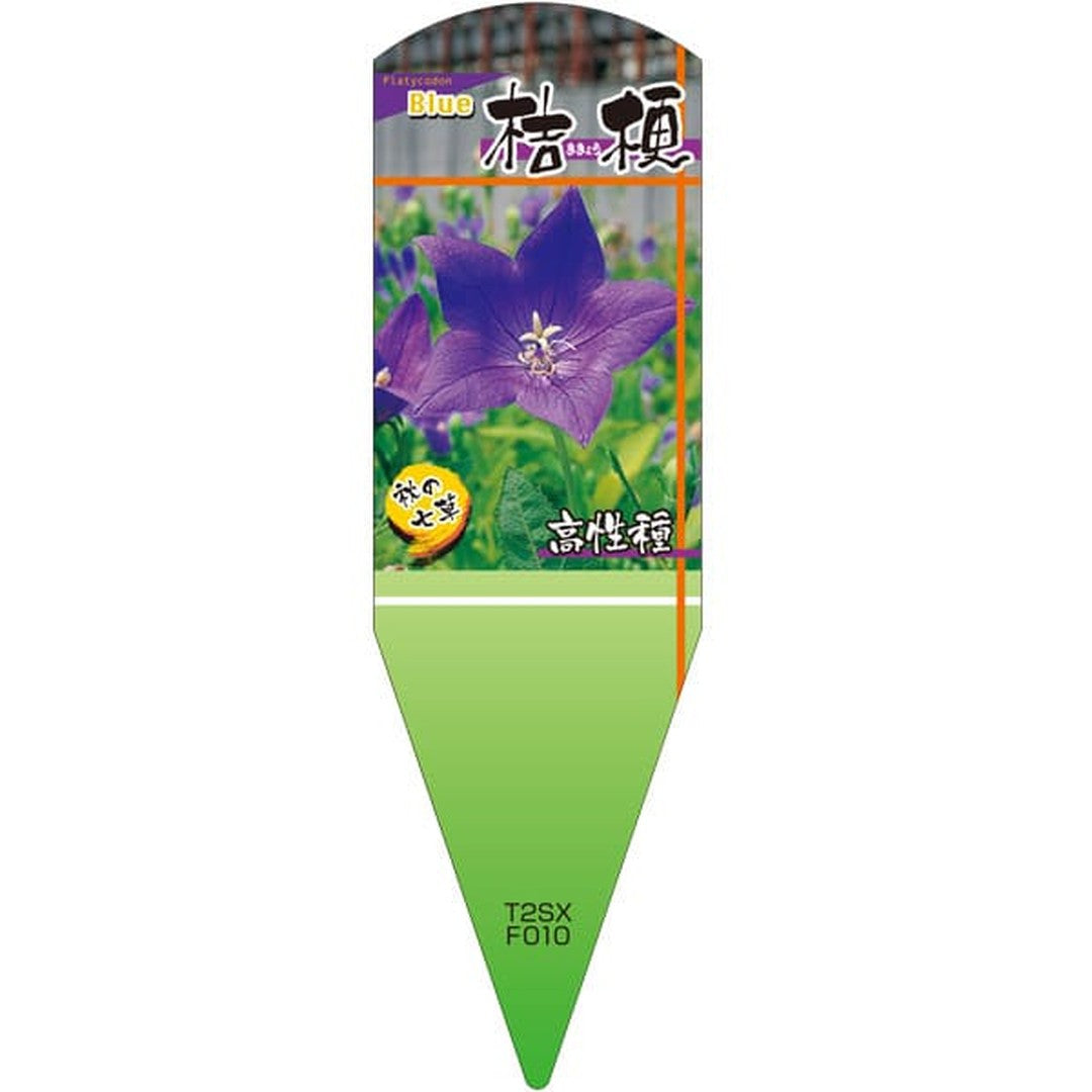 ARC キキョウヒトエ ブルー X 園芸用ラベル【132.5mm×40mm】100枚入 T2SXF010-01