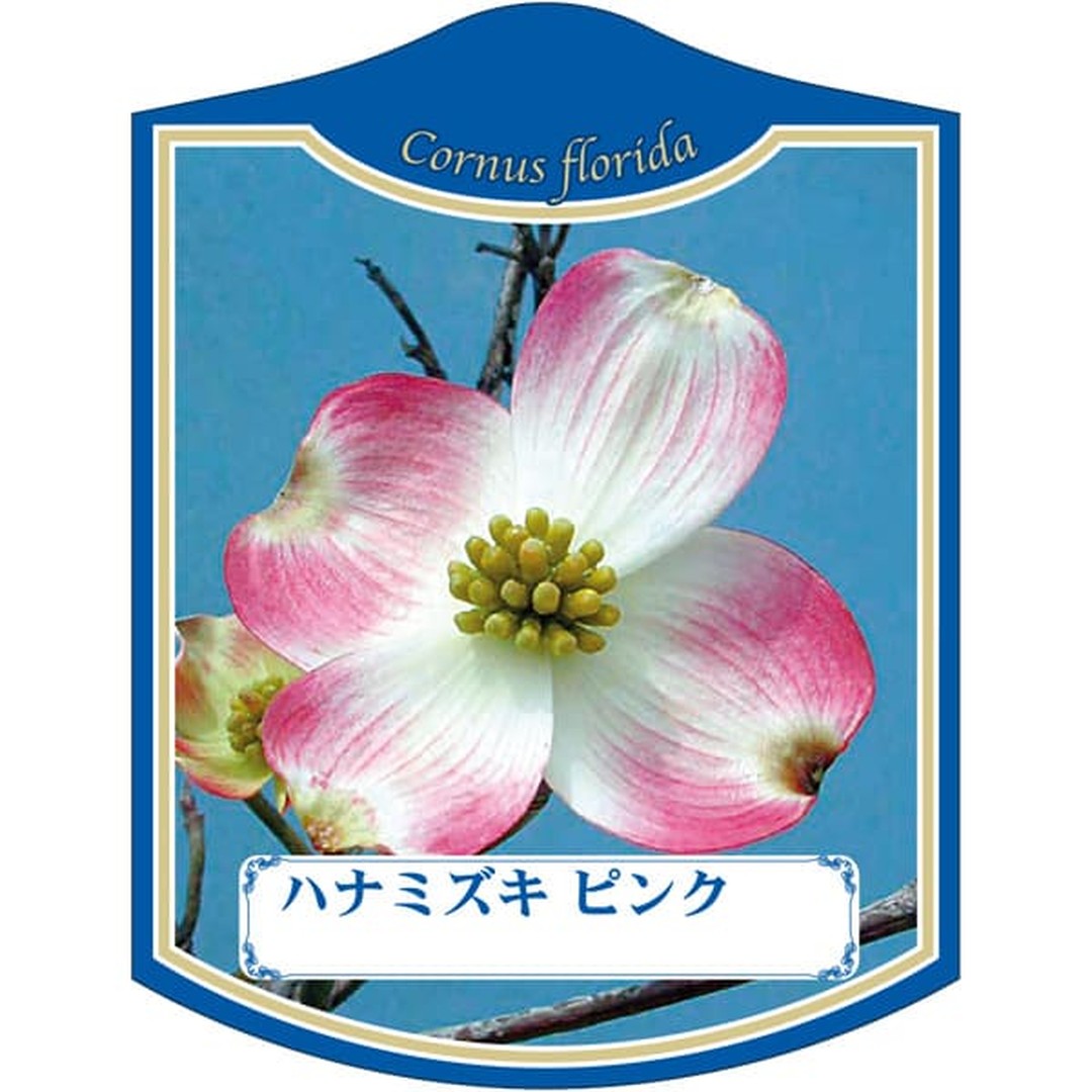 ARC ハナミズキ ピンク K 園芸用ラベル【105mm×80mm】100枚入 T2TMK012-01
