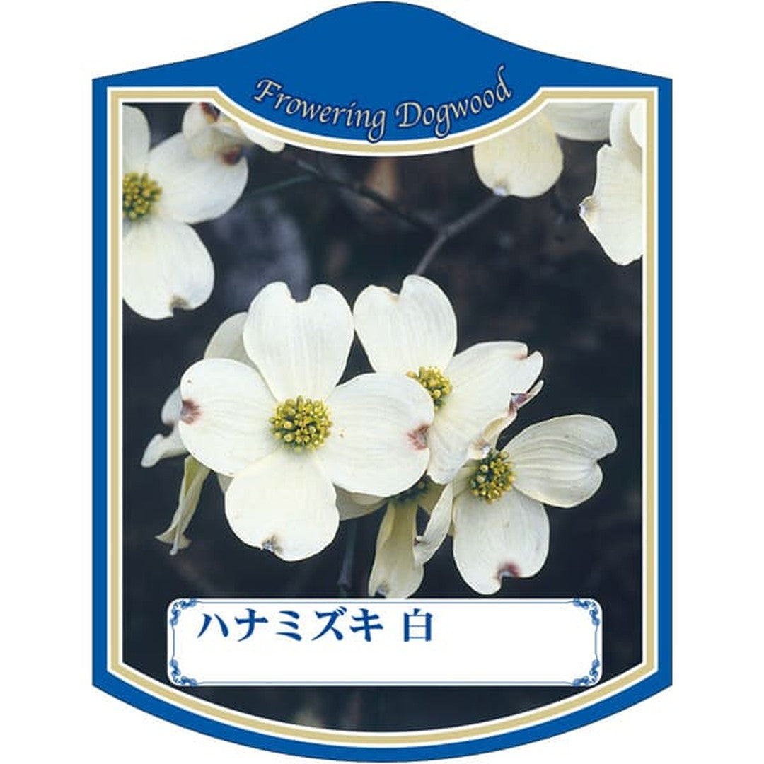 ARC ハナミズキ シロ K 園芸用ラベル【105mm×80mm】100枚入 T2TMK013-01