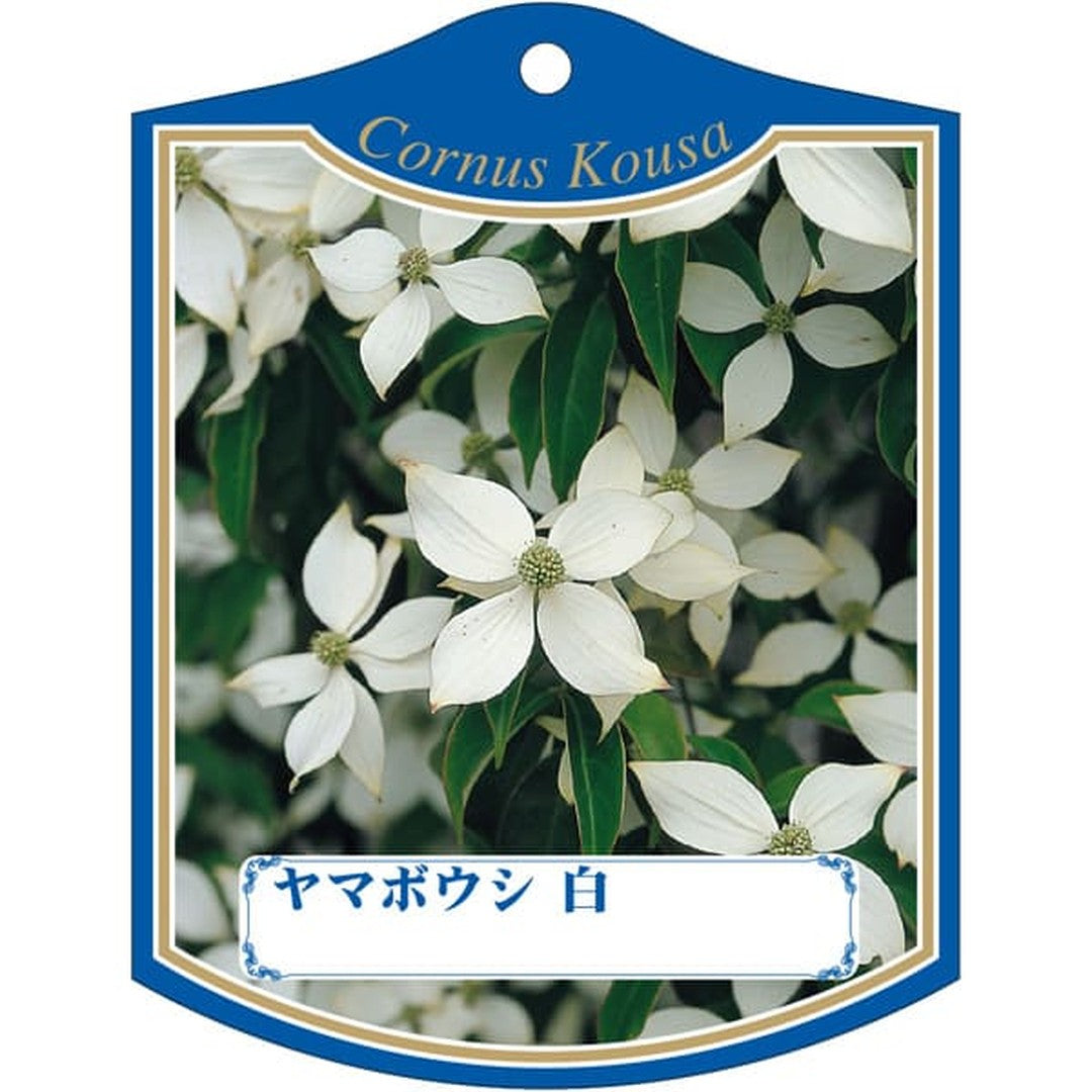 ARC ヤマボウシ シロ K 園芸用ラベル【105mm×80mm】100枚入 T2TMK017-01