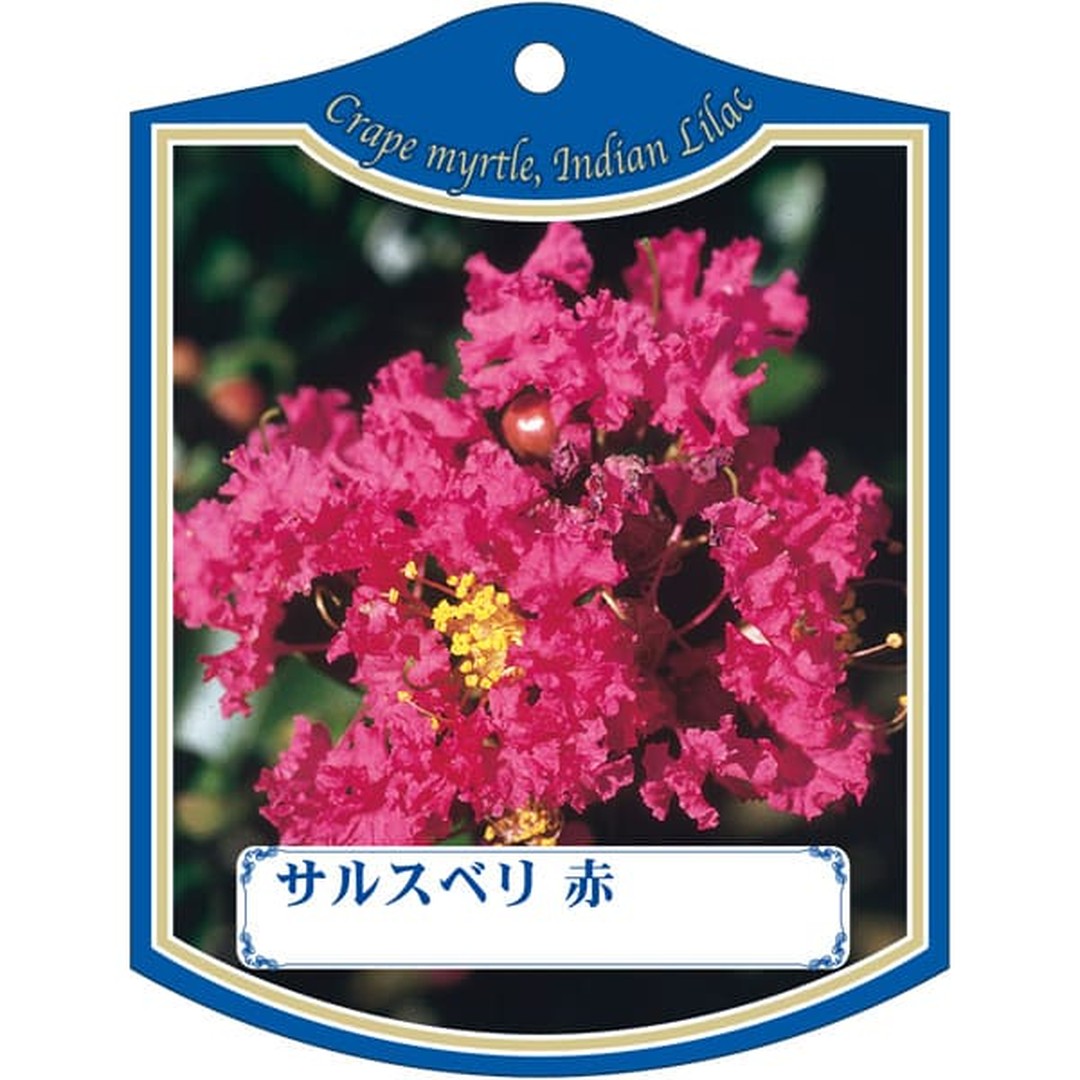ARC サルスベリ アカ K 園芸用ラベル【105mm×80mm】100枚入 T2TMK027-01