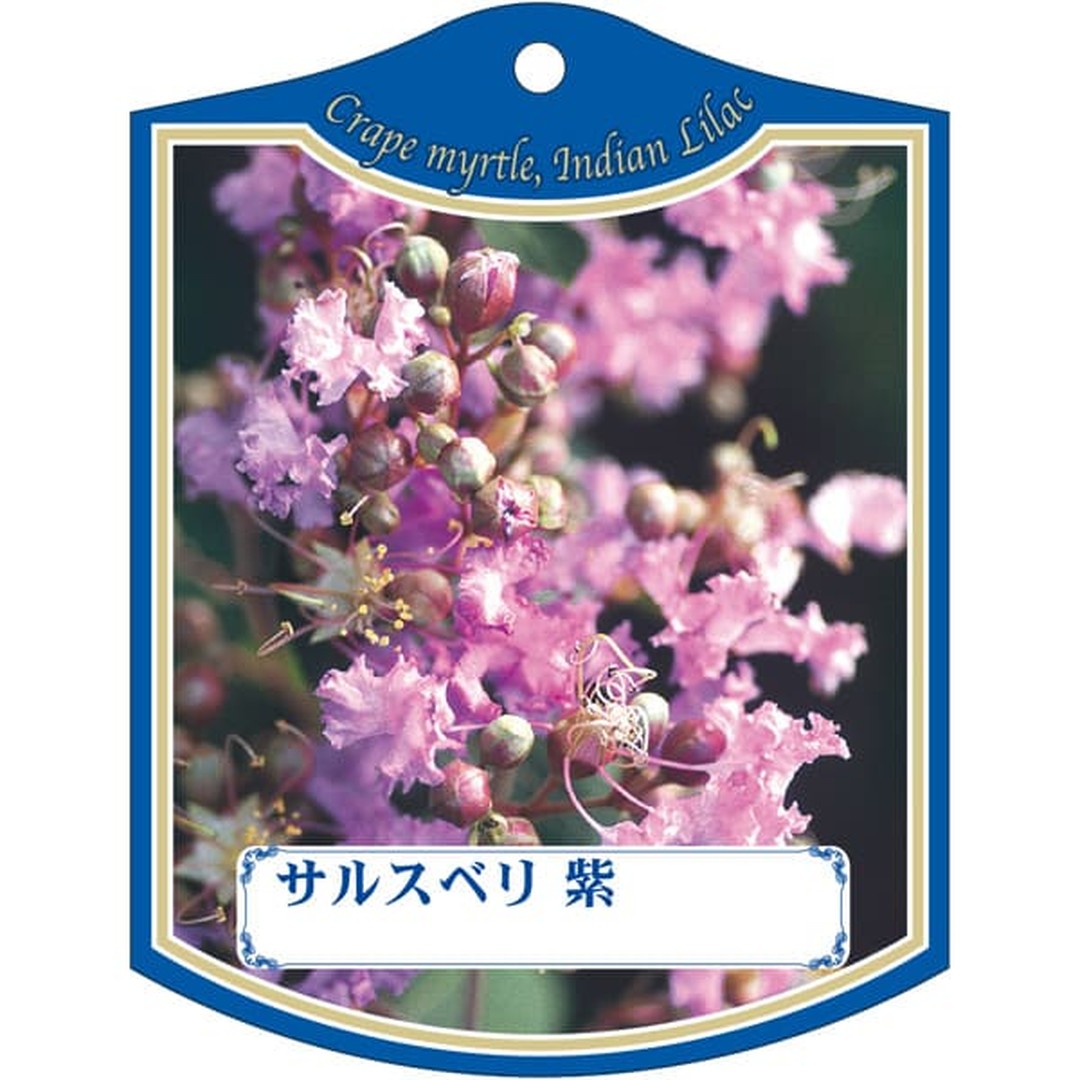 ARC サルスベリ ムラサキ K 園芸用ラベル【105mm×80mm】100枚入 T2TMK030-01